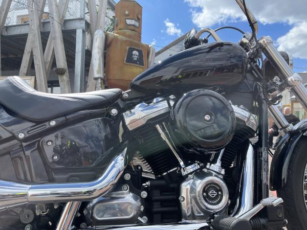 H-D Softail Standard Visordown Review